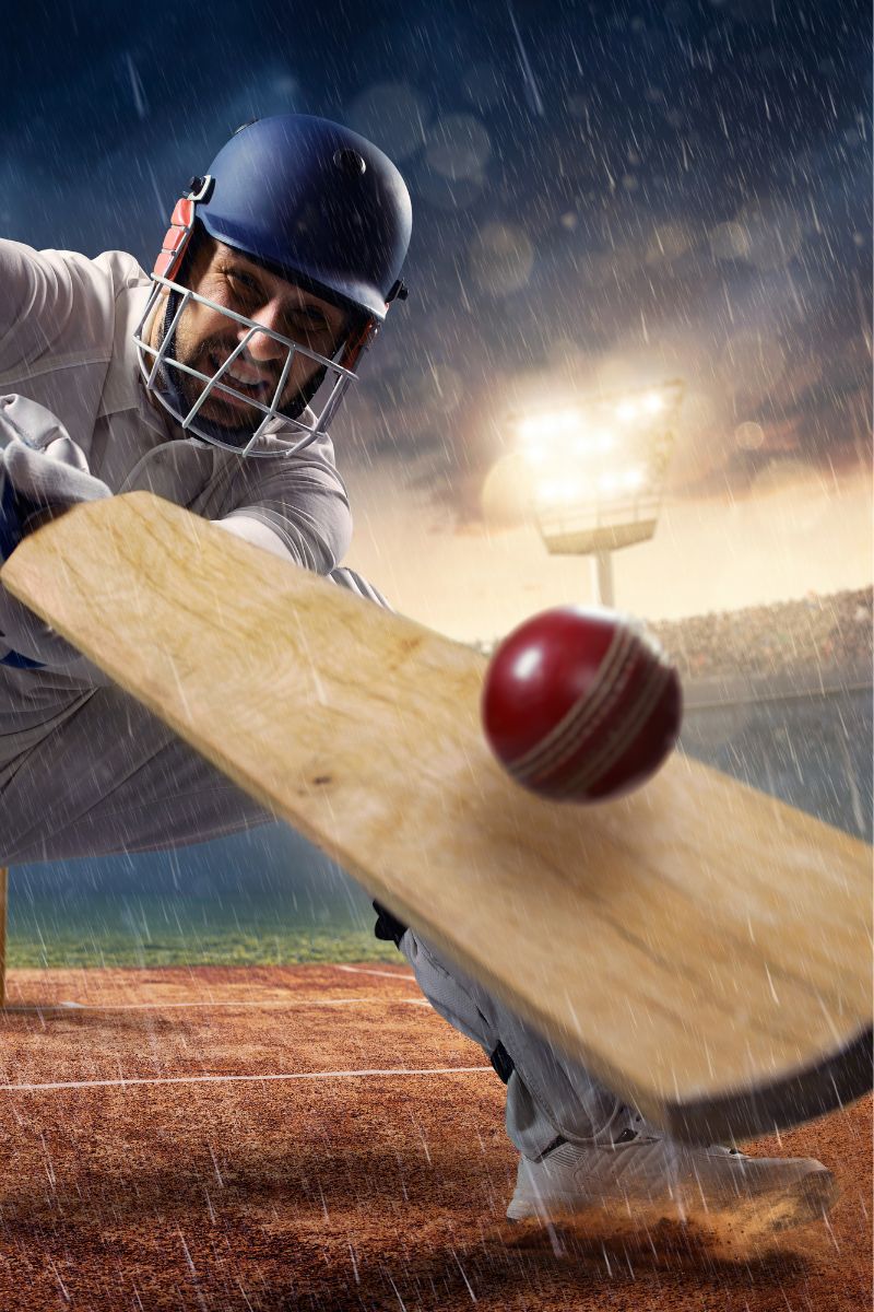 Professional Cricket Pitch
