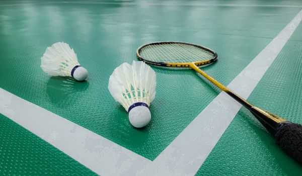Badminton Courts