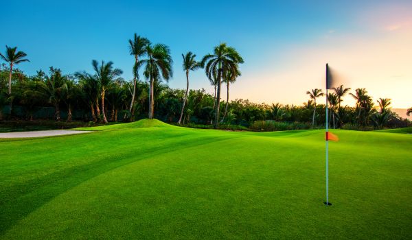 Golf Surfaces
